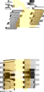 One Handle Single Function Shower Faucet in Vibrant Brushed Moderne Brass (Trim Only)